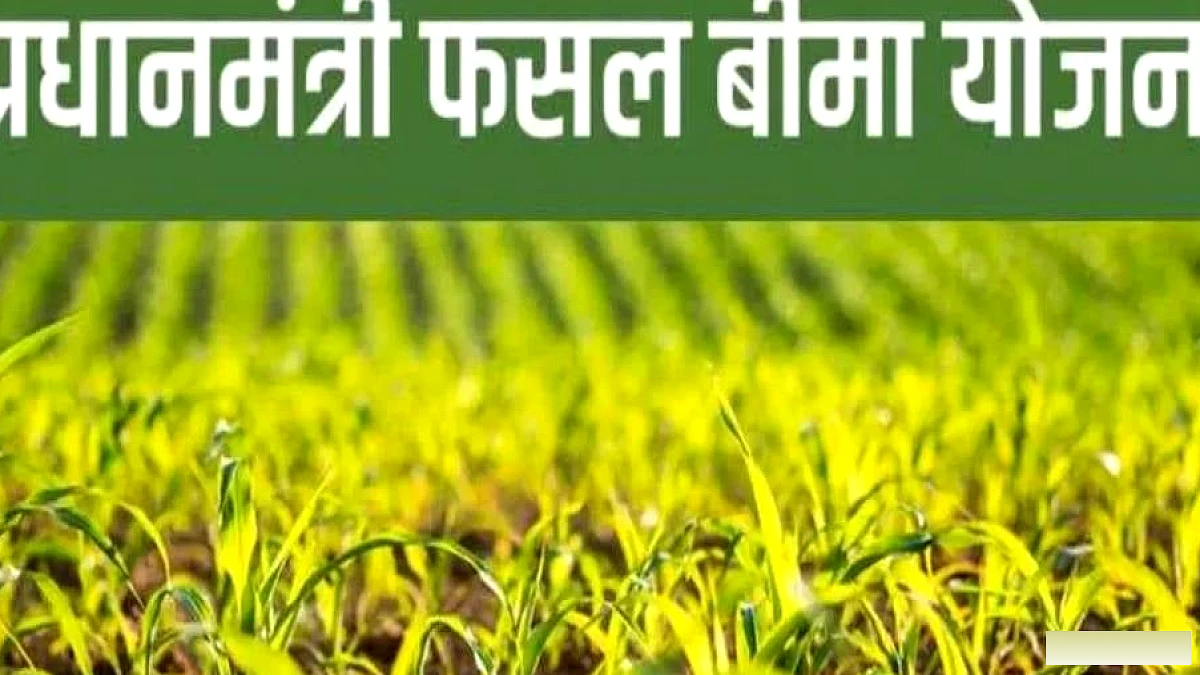 यूपी में फसल बीमा के दावे पर बैंक की धोखाधड़ी, किसानों को नुकसान