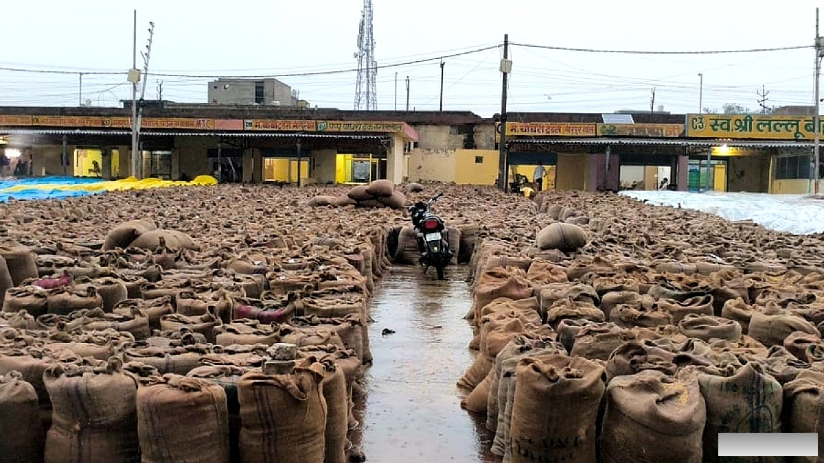बारिश से मंडियों में धान भीगा, किसानों को करोड़ों का नुकसान