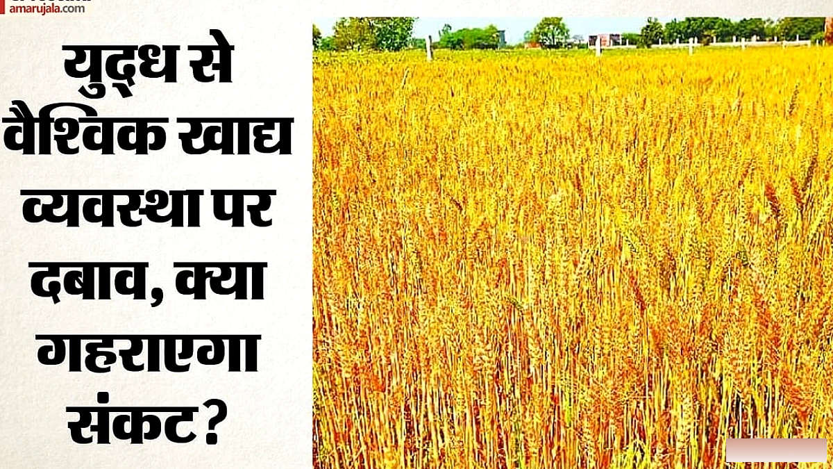 युद्ध के कारण 25.5 करोड़ लोगों के बराबर खेती की जमीन घट गई, खाद्य संकट का खतरा बढ़ा
