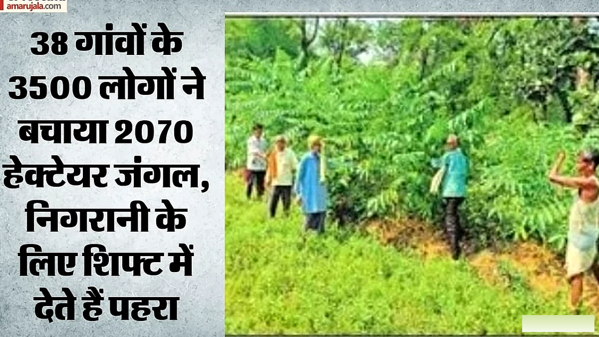 सोनभद्र के ग्रामीणों ने दिखाया मिसाल: 38 गांवों ने मिलकर 2070 हेक्टेयर जंगल बचाया, शिफ्ट में पहरा जारी