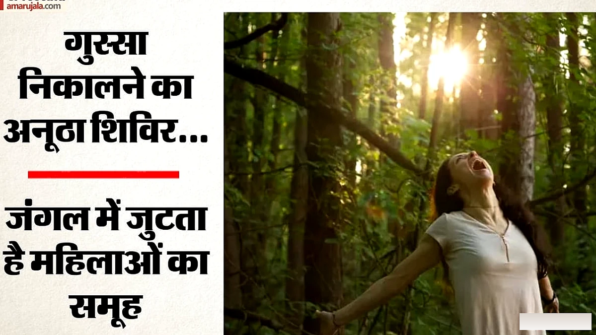 जंगल में गुस्सा निकालने का नया शिविर: महिलाओं के लिए खास कार्यक्रम