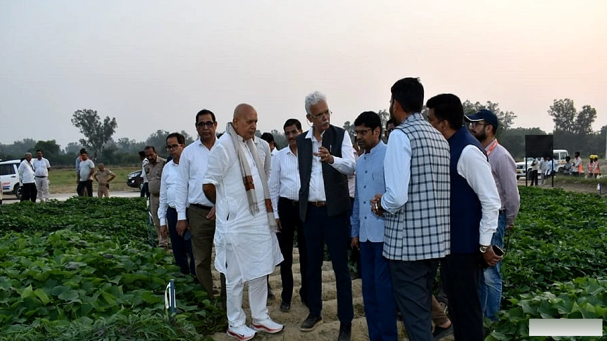 दिवाली पर किसानों को बड़ा तोहफा: बीज निगम ने MSP से ऊपर कीमत पर बीज खरीदे, कमाई में बढ़ोतरी