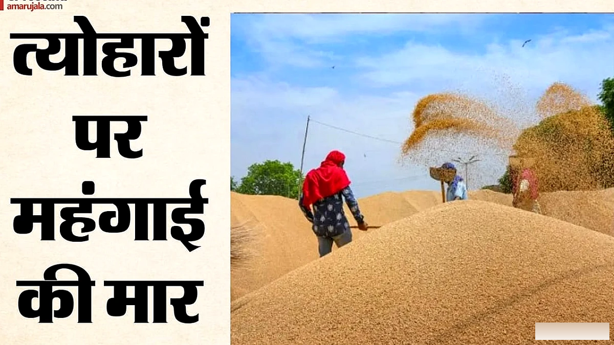 गेहूं की कीमतों में तेज उछाल: 50 दिनों में 150 रुपये/क्विंटल से अधिक बढ़े भाव