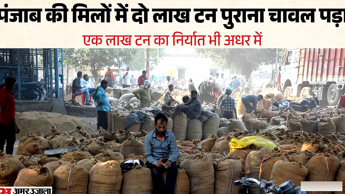 पश्चिम एशिया संकट में बासमती निर्यात पर असर: 15 लाख टन नई फसल तैयार, होर्मुज मार्ग बंद से भाड़ा छह गुना बढ़ा