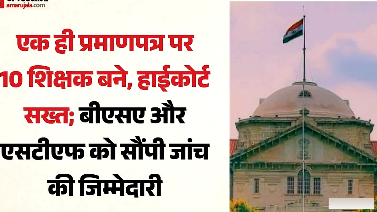 हाईकोर्ट ने आदेश दिया – बेसिक स्कूलों में तैनात सभी शिक्षकों के शैक्षिक प्रमाणपत्रों की जाँच
