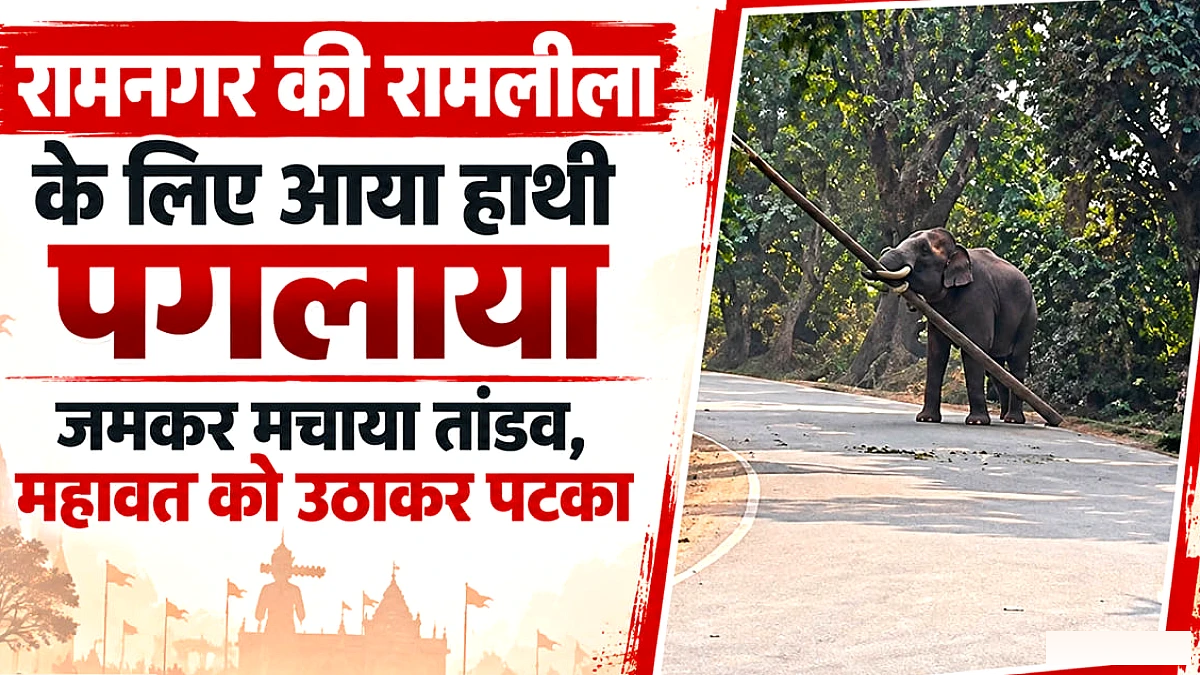 महावत को कई बार पटका, पुलिस ने बंद किया दो किमी तक का रास्ता; रामलीला के लिए आया था