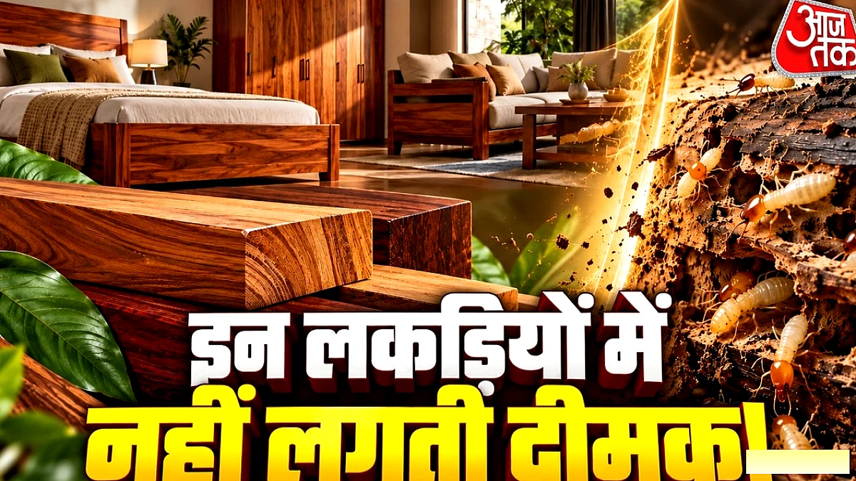 दीमक‑प्रतिरोधी लकड़ियाँ: फर्नीचर के लिए टॉप 5 विकल्प