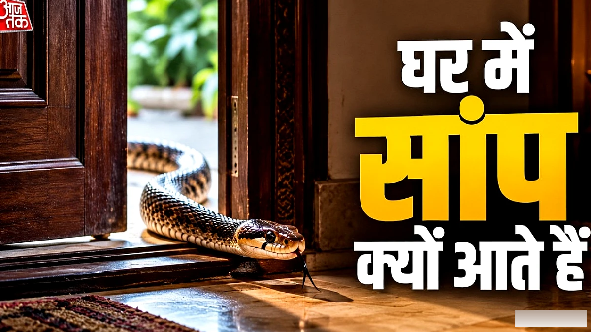 घर में सांप क्यों आते हैं? मुख्य कारण और आसान बचाव उपाय