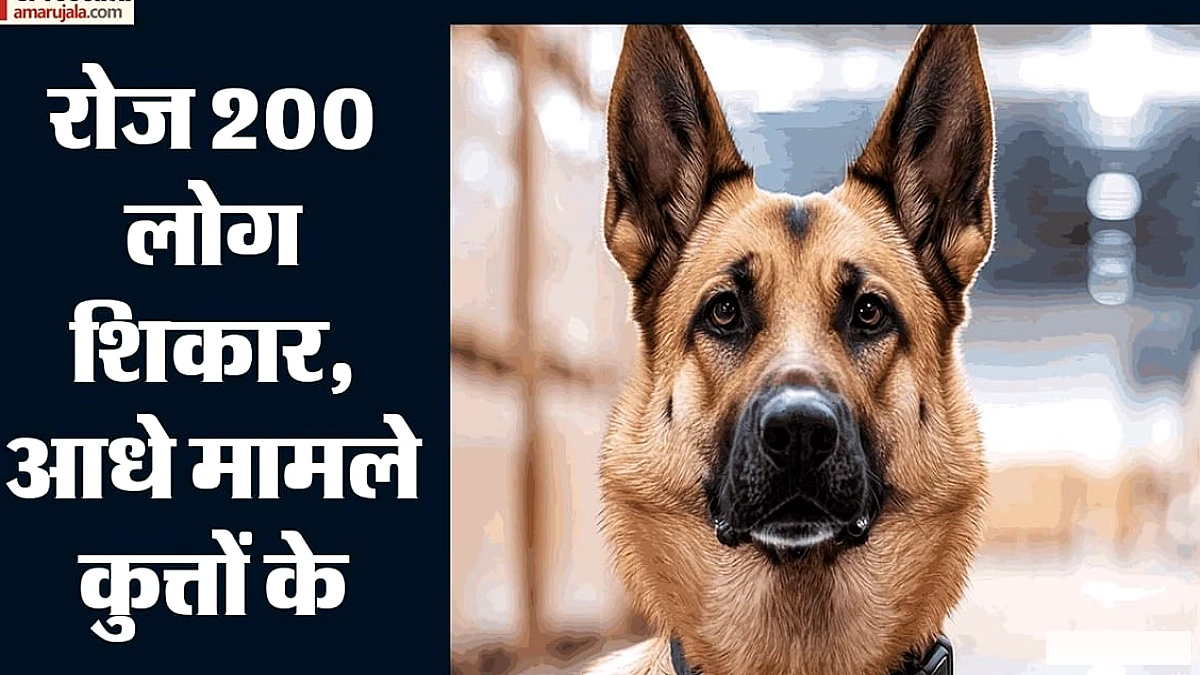 दिल्ली में जानवरों के हमले चार साल में पाँच गुना, अब MCD करेगा 2 साल की वैक्सीन सप्लाई