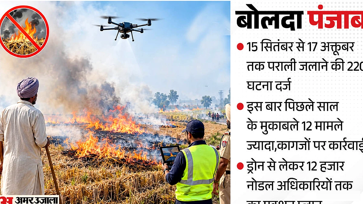 पारााली में बढ़ते आग के खतरे, वर्ष 2025 में 208 घटनाएँ: सरकार के दावों के विपरीत