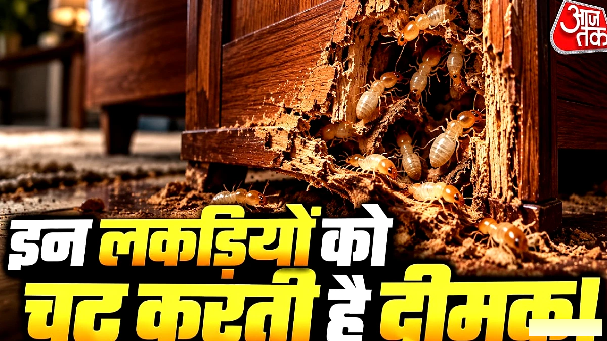 किन 5 लकड़ियों के फर्नीचर में जोखिम सबसे अधिक?