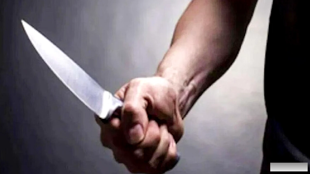 दिल्ली के नजफगढ़ में माँ ने बेटे को बचाते हुए चाकू के घाव से मौत, दो आरोपी हिरासत में
