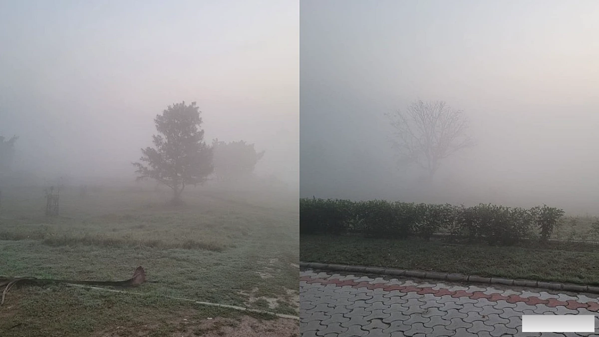 दशहरा के बाद दिल्ली‑NCR में कोहरा, धुंध और तापमान में बदलाव