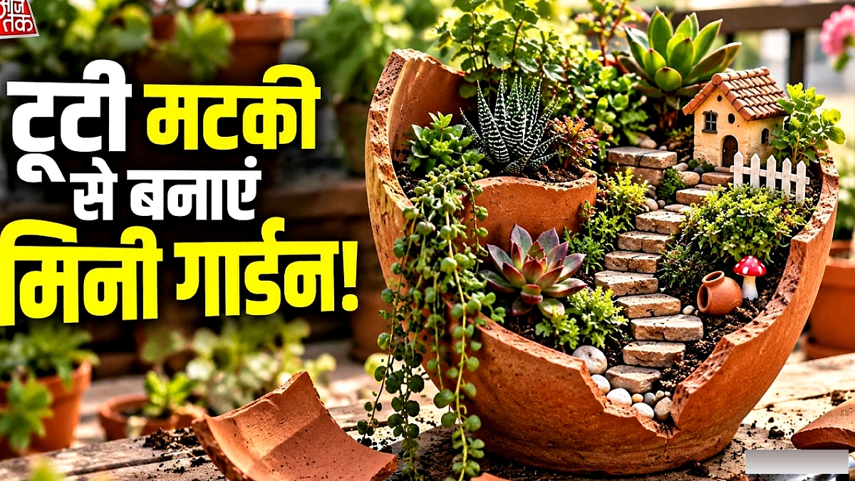 टूटी मटकी से सस्ते में बनाएं खूबसूरत मिनी गार्डन