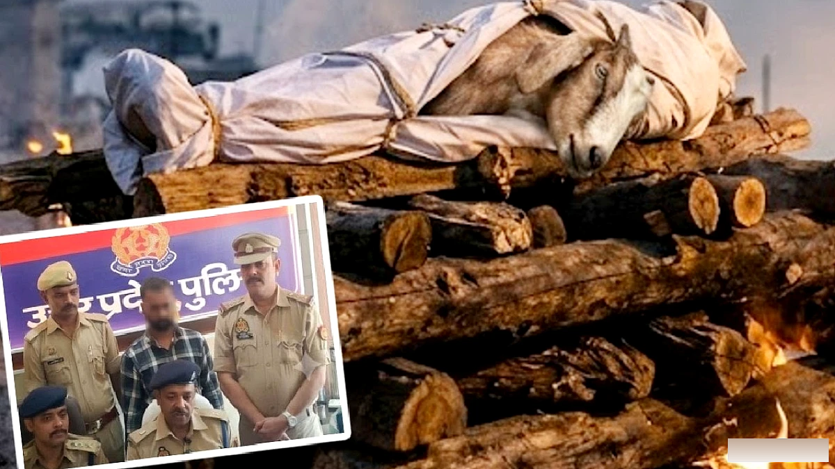 बकरे के शव की AI‑तस्वीर से झूठा मौत का प्रमाण, मऊ में आरोपी को गिरफ्तार