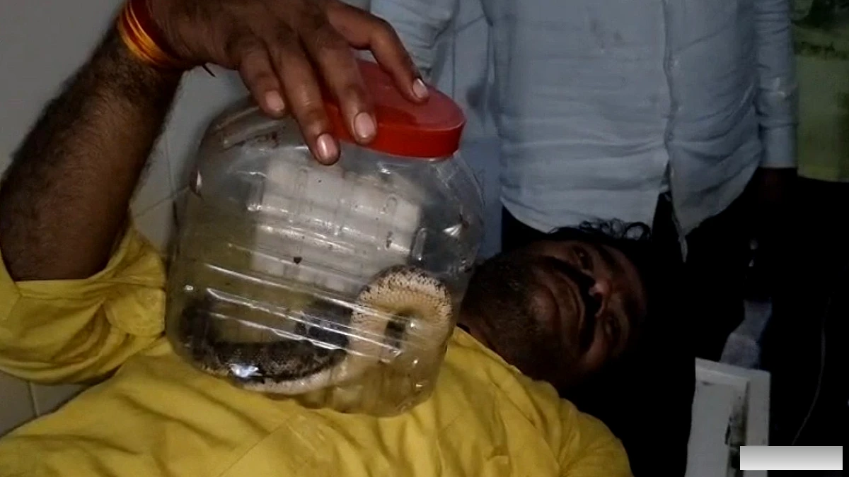 बांदा जिला अस्पताल में जिंदा साँप लेकर आए युवक की अजीब घटना