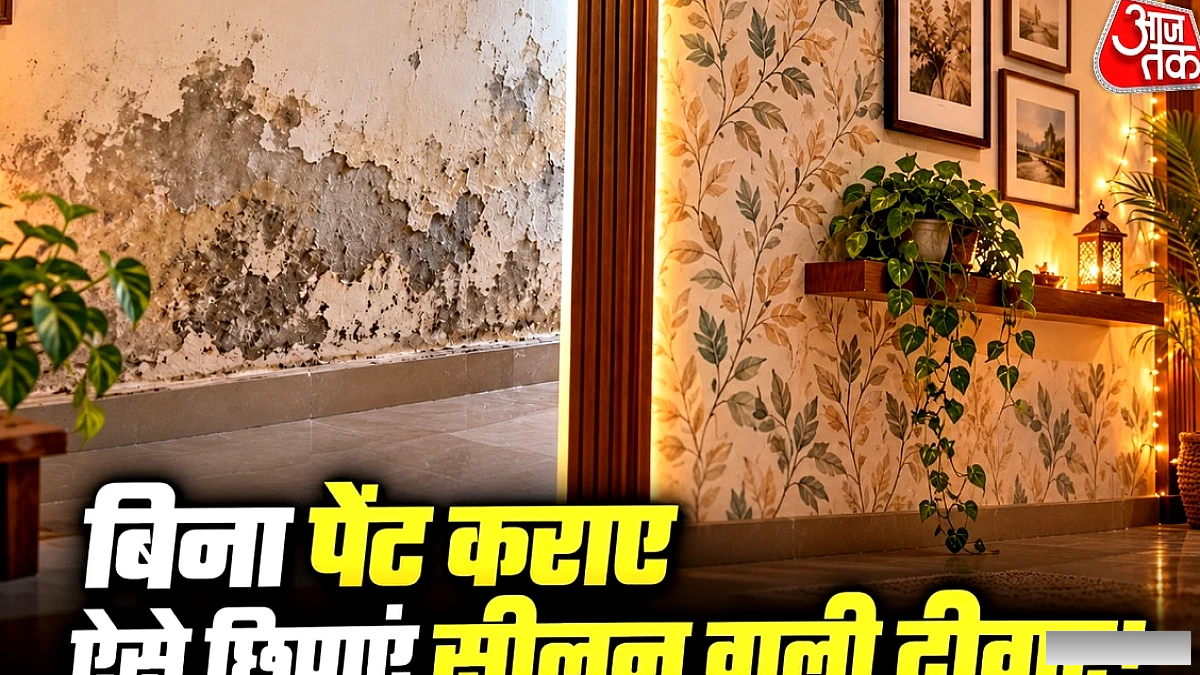 दिवाली से पहले सीलन वाली दीवारों को किफायती ढंग से कैसे छुपाएँ?