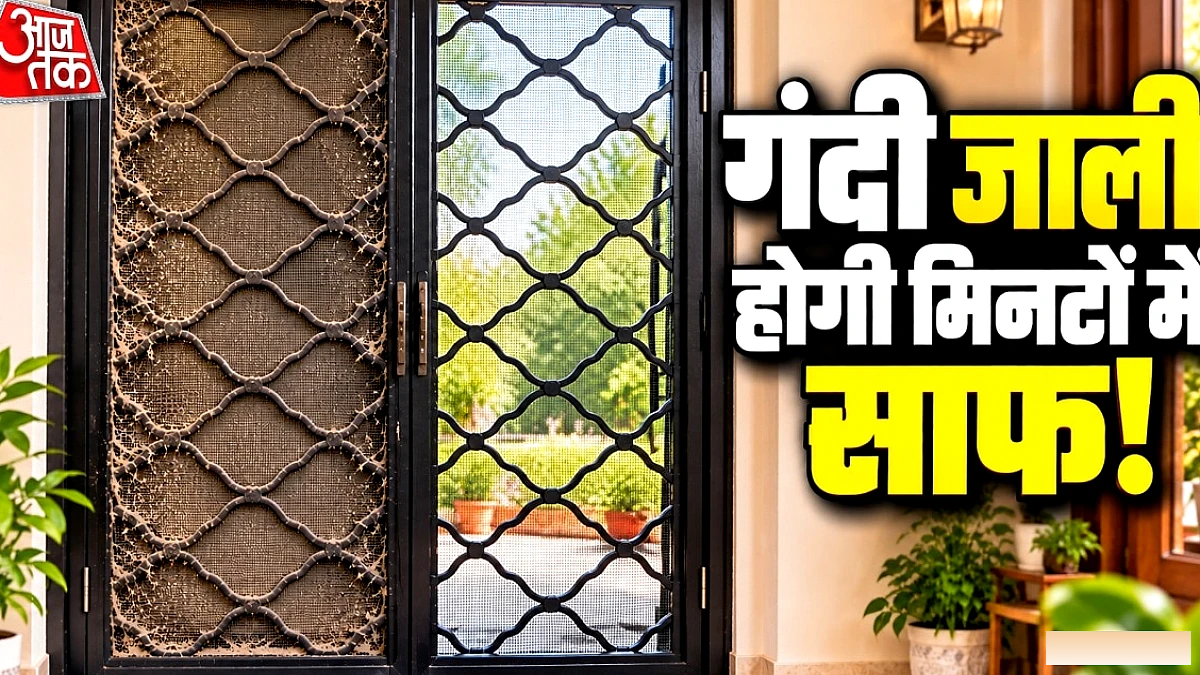 दरवाज़े की जाली को बिना महंगे क्लीनर के साफ करने का आसान तरीका