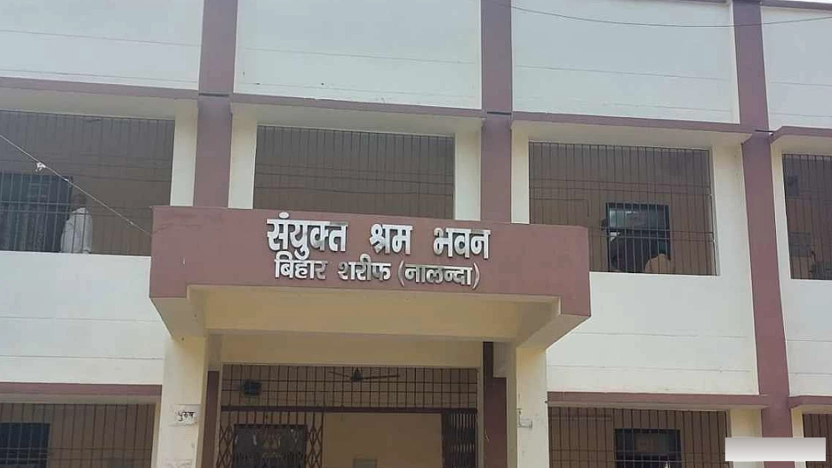 नालंदा में 5 नवंबर को रोजगार मेला, 20 कंपनियों द्वारा ऑन-द-स्पॉट भर्ती