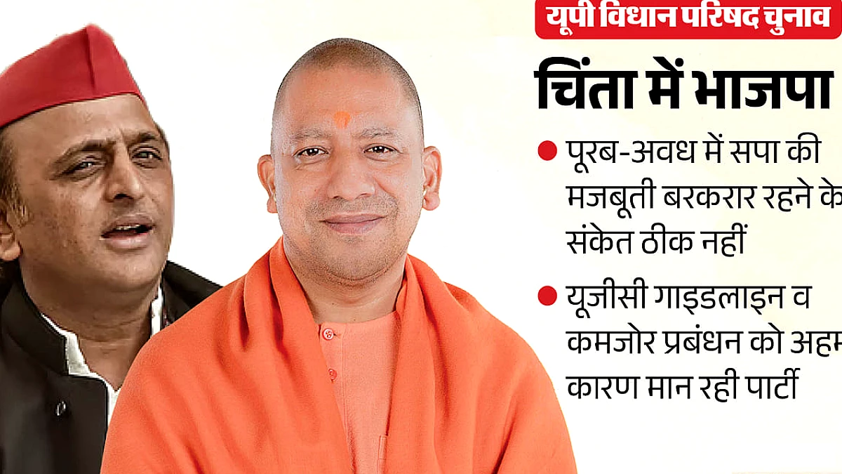 यूपी विधान परिषद चुनाव: प्रदर्शन के बाद भाजपा में बढ़ी चिंता, सपा की मजबूती कायम