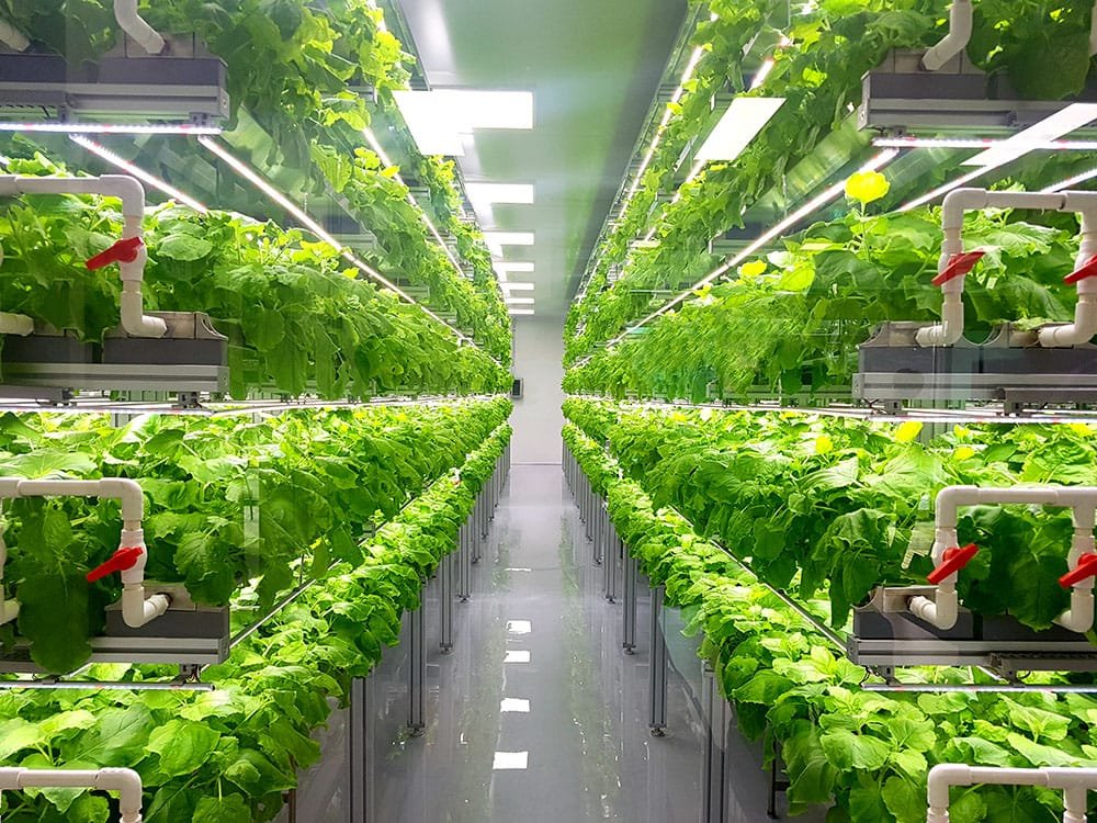 Vertical farm
